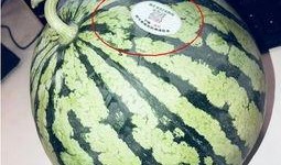 哪个网红吃瓜,揭秘娱乐圈幕后真相